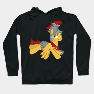 Flash Magnus Hoodie